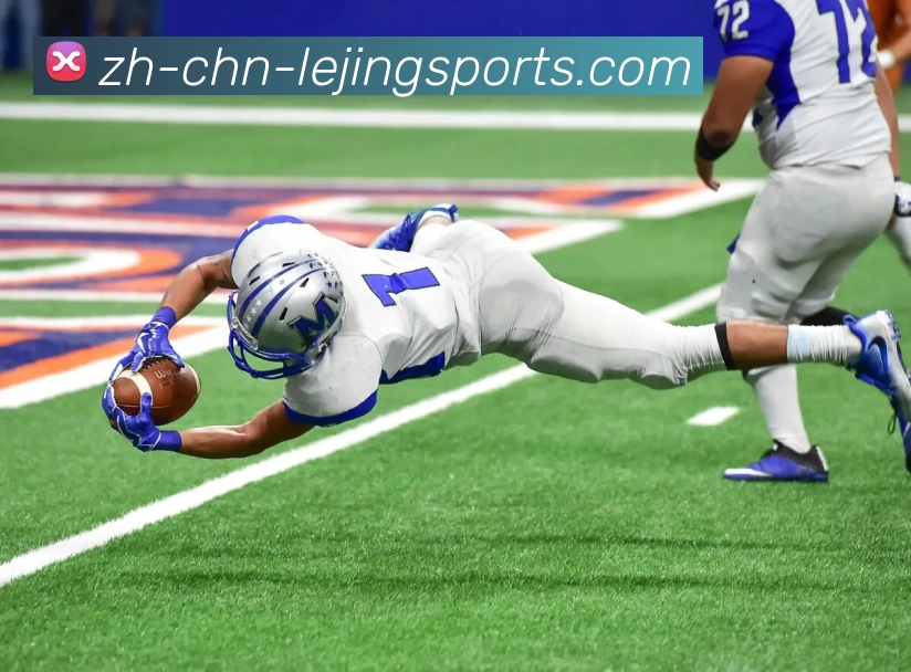 App Interface Preview